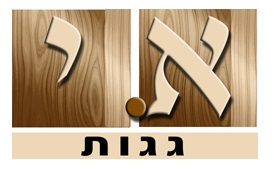 א.י גגות